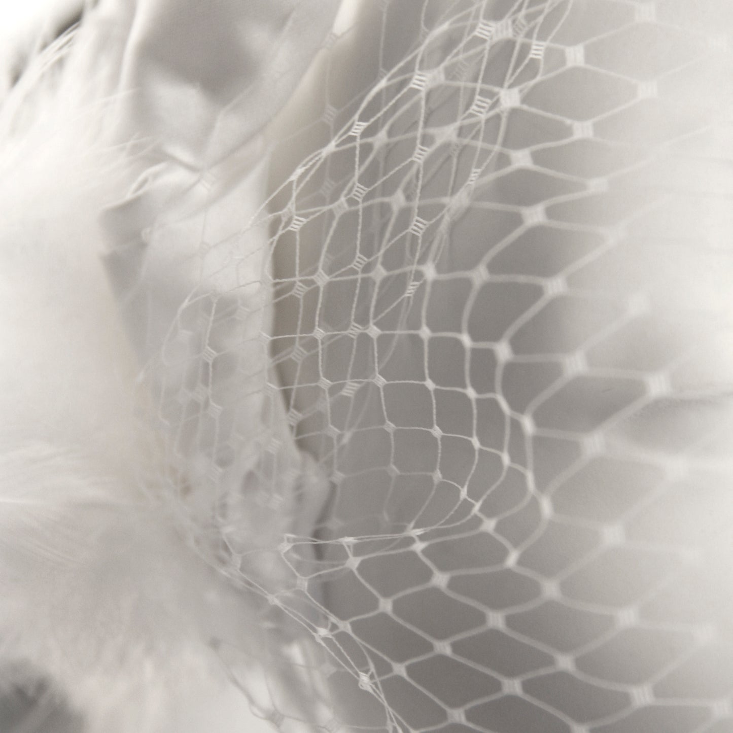 Cow as White as Milk